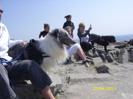 Bretagne 2011101.jpg