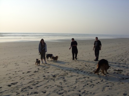 Bretagne 2011010.jpg