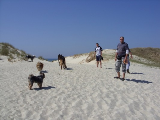 Bretagne 2011012.jpg