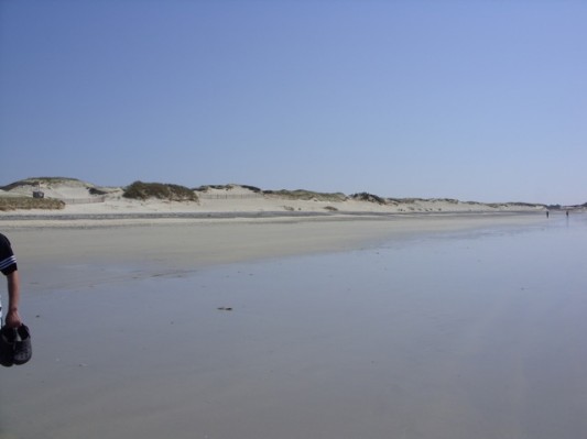 Bretagne 2011014.jpg