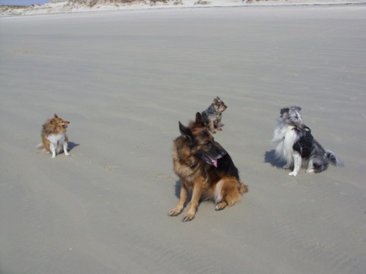 Bretagne 2011019.jpg