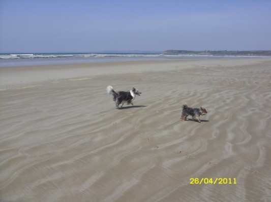 Bretagne 2011084.jpg