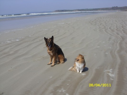 Bretagne 2011085.jpg