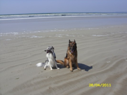 Bretagne 2011086.jpg