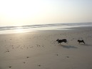 Bretagne 2011011.jpg