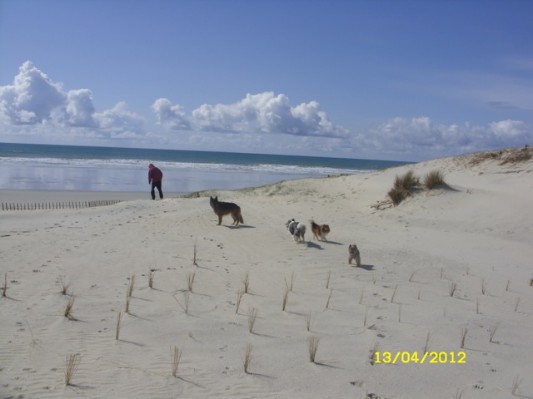 Bretagne 201250.jpg