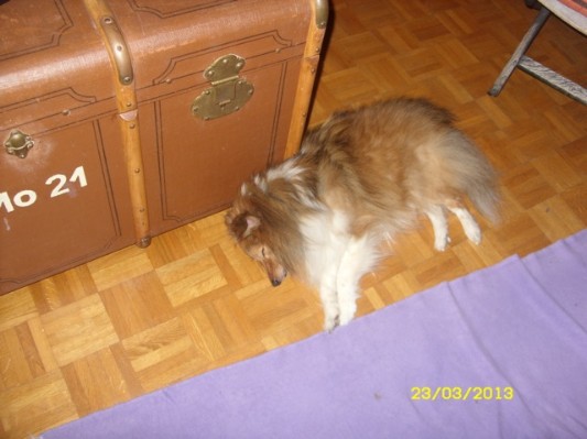 Bretagne 2013 Ostern014.jpg