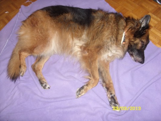 Bretagne 2013 Ostern015.jpg