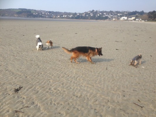 Bretagne 2013 Ostern176.jpg