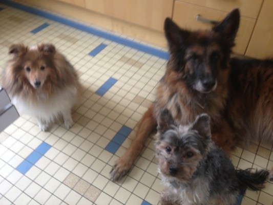 Bretagne 2013 Ostern047.jpg