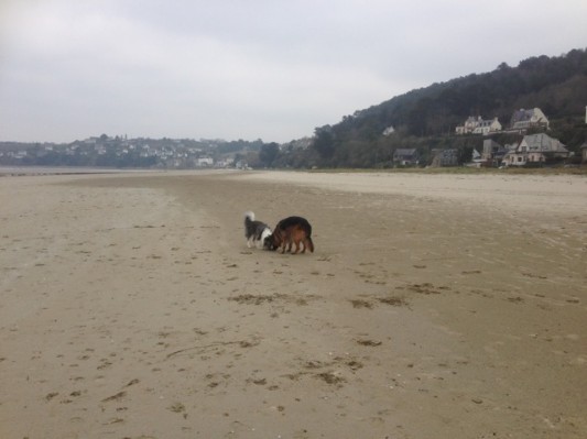 Bretagne 2013 Ostern052.jpg