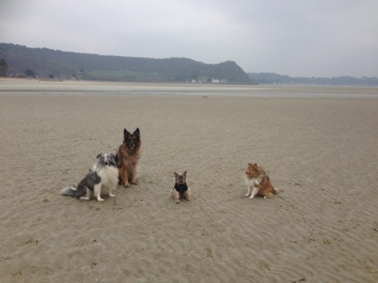 Bretagne 2013 Ostern055.jpg