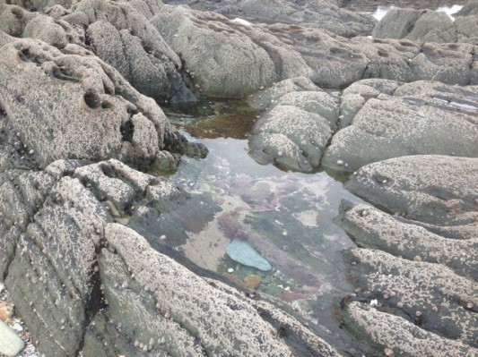 Bretagne 2013 Ostern084.jpg