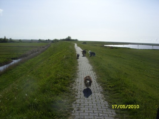 Greetsiel04.jpg