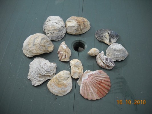 Normandie 201010.jpg