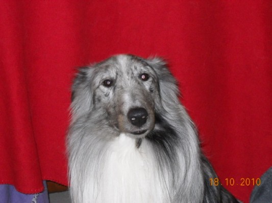 Normandie 201040.jpg