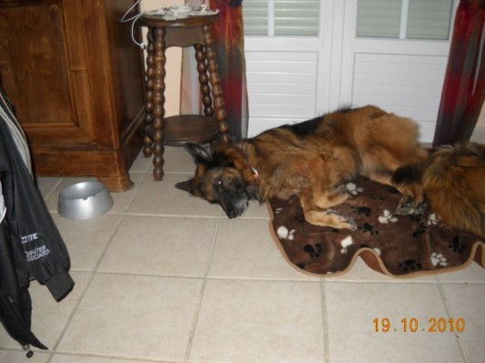 Normandie 201052.jpg