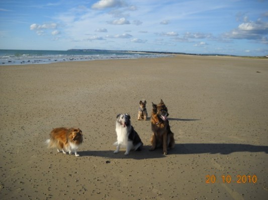 Normandie 201068.jpg