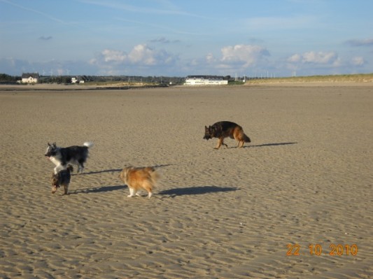 Normandie 201072.jpg