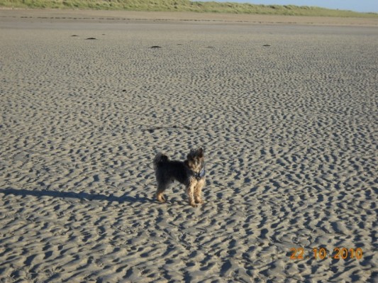 Normandie 201073.jpg