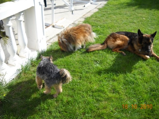 Normandie 201007.jpg