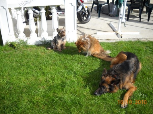 Normandie 201008.jpg